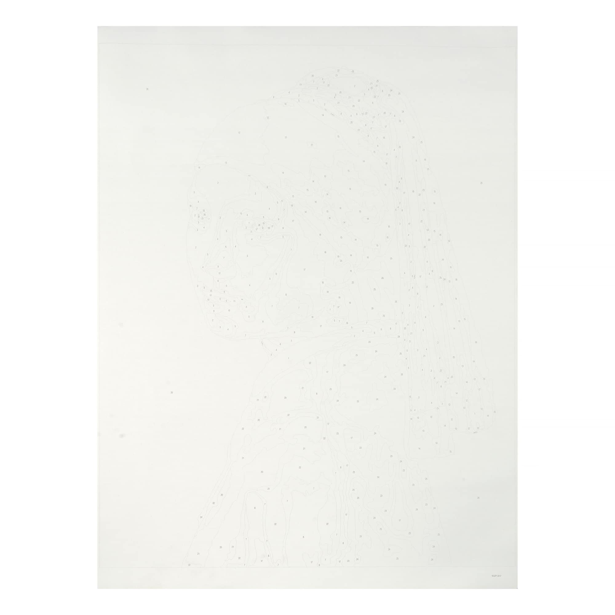 Girl with the Pearl Earring Paint-by-Number Kit by Artist's Loft®